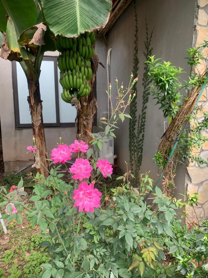 Trang An Peaceful Homestay Ninh Binh Eksteriør billede